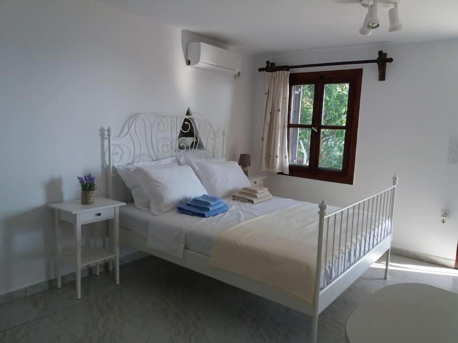 Grandpa Simos' Traditional Guest House Agios Romanos 외부 사진