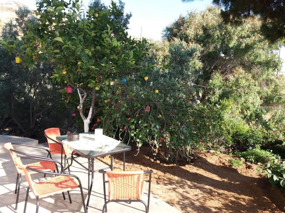 Grandpa Simos' Traditional Guest House Agios Romanos 외부 사진