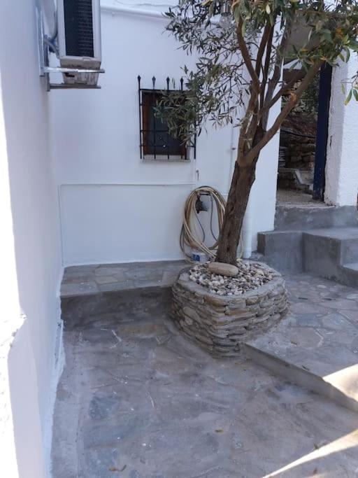 Grandpa Simos' Traditional Guest House Agios Romanos 외부 사진