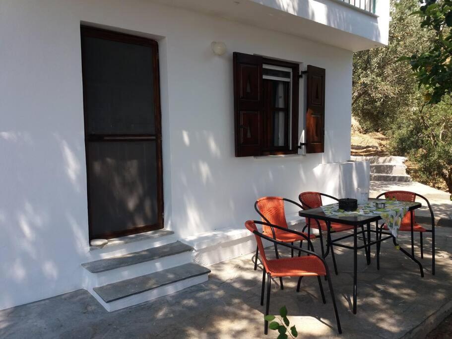 Grandpa Simos' Traditional Guest House Agios Romanos 외부 사진