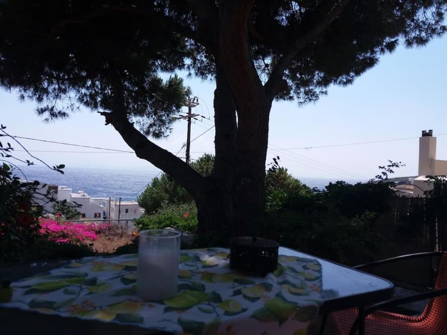 Grandpa Simos' Traditional Guest House Agios Romanos 외부 사진