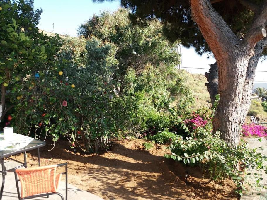 Grandpa Simos' Traditional Guest House Agios Romanos 외부 사진