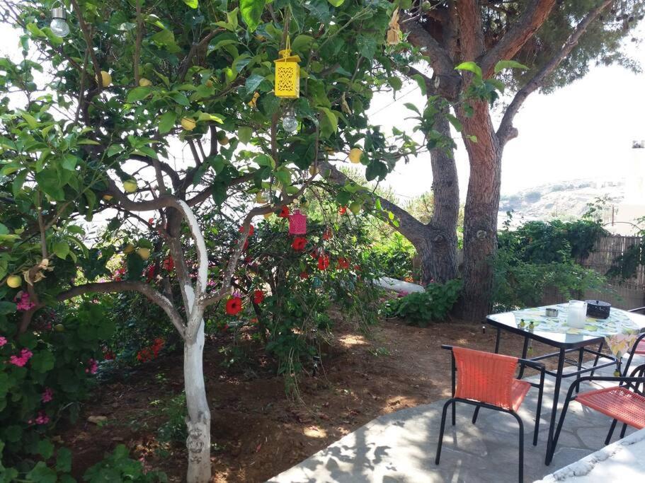 Grandpa Simos' Traditional Guest House Agios Romanos 외부 사진