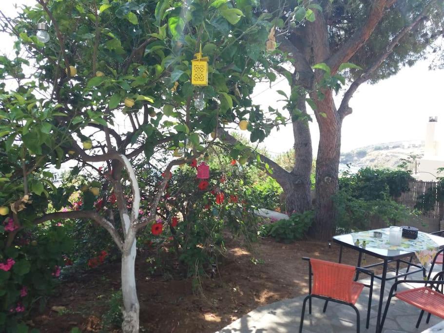 Grandpa Simos' Traditional Guest House Agios Romanos 외부 사진