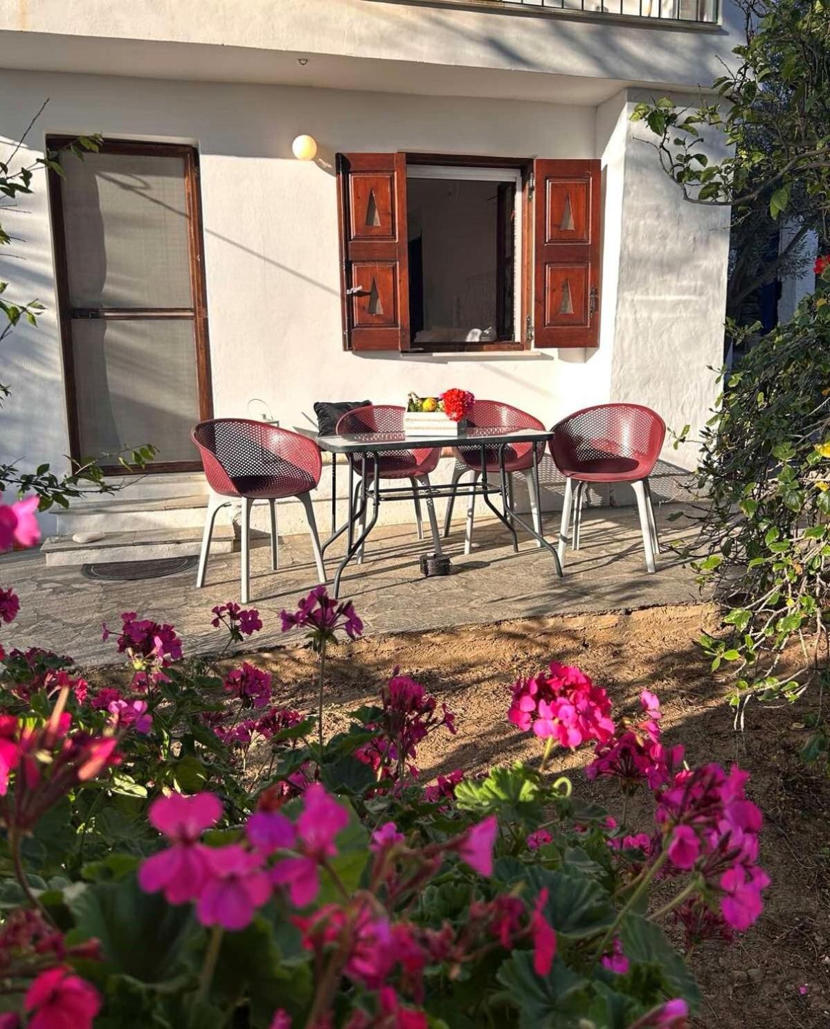 Grandpa Simos' Traditional Guest House Agios Romanos 외부 사진