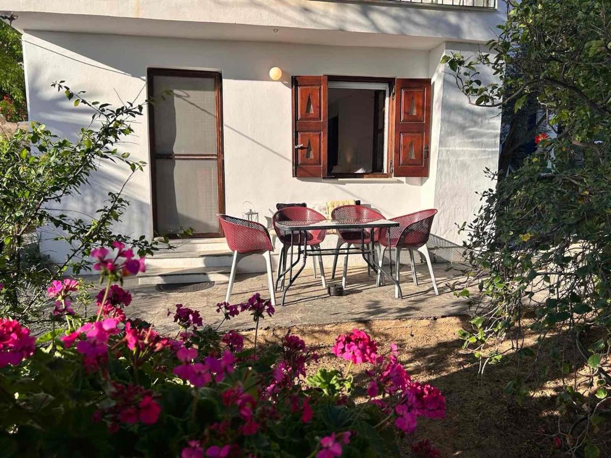 Grandpa Simos' Traditional Guest House Agios Romanos 외부 사진