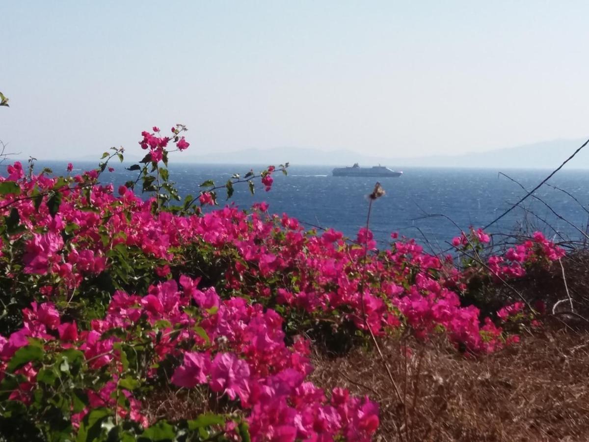Grandpa Simos' Traditional Guest House Agios Romanos 외부 사진