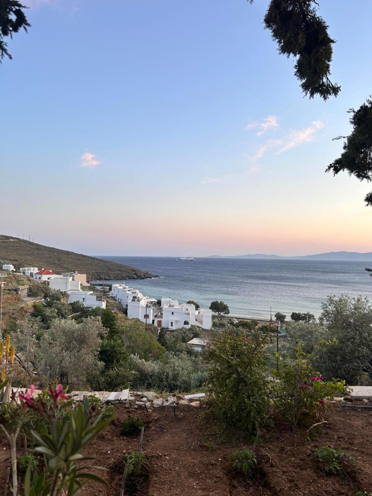 Grandpa Simos' Traditional Guest House Agios Romanos 외부 사진