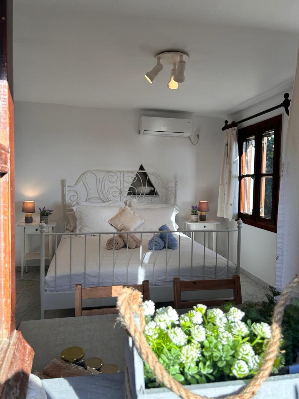 Grandpa Simos' Traditional Guest House Agios Romanos 외부 사진
