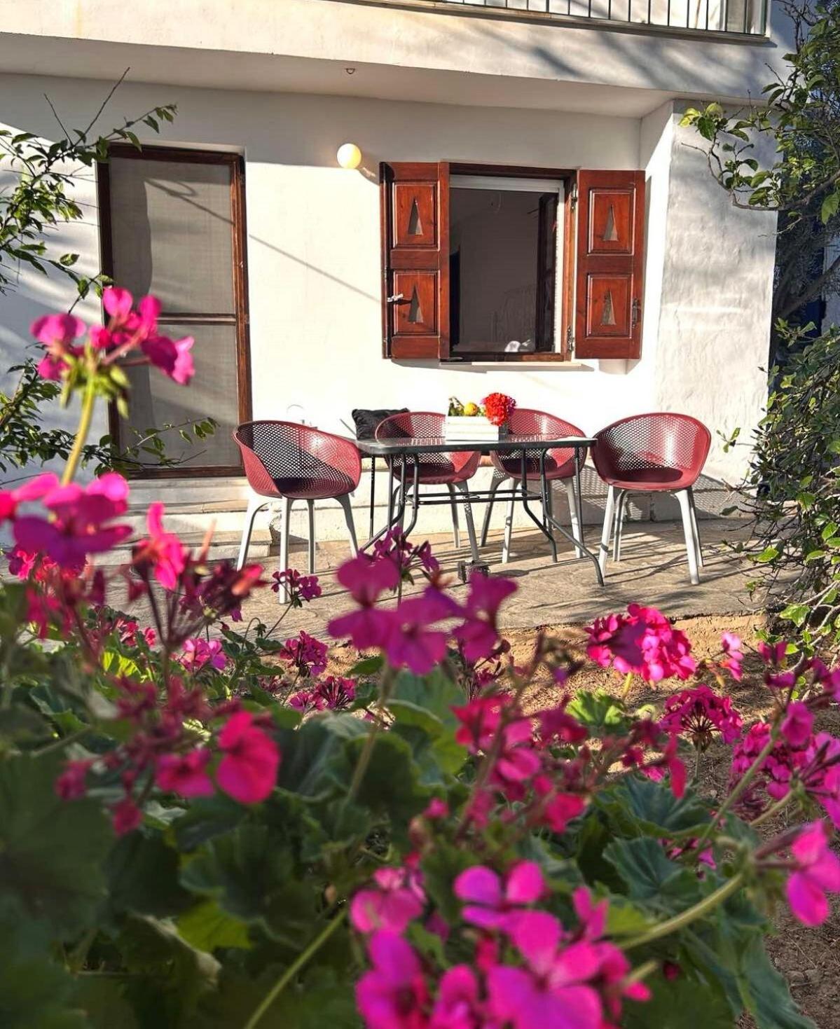 Grandpa Simos' Traditional Guest House Agios Romanos 외부 사진
