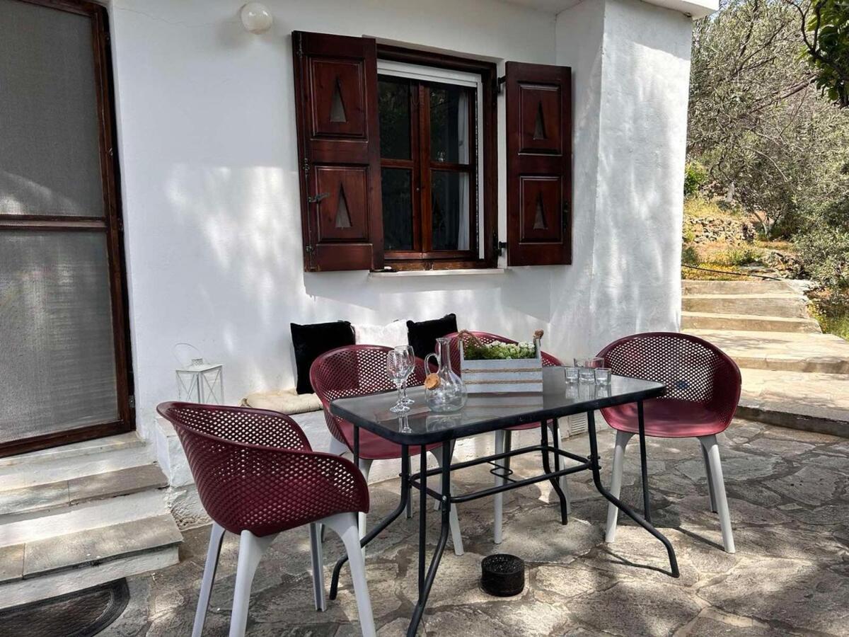 Grandpa Simos' Traditional Guest House Agios Romanos 외부 사진