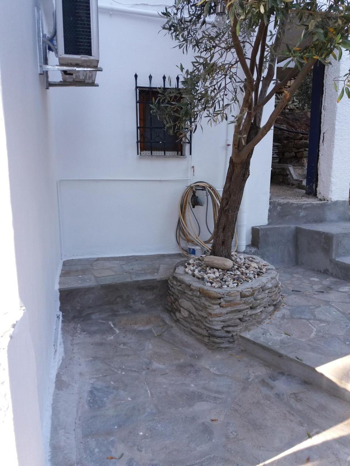 Grandpa Simos' Traditional Guest House Agios Romanos 외부 사진