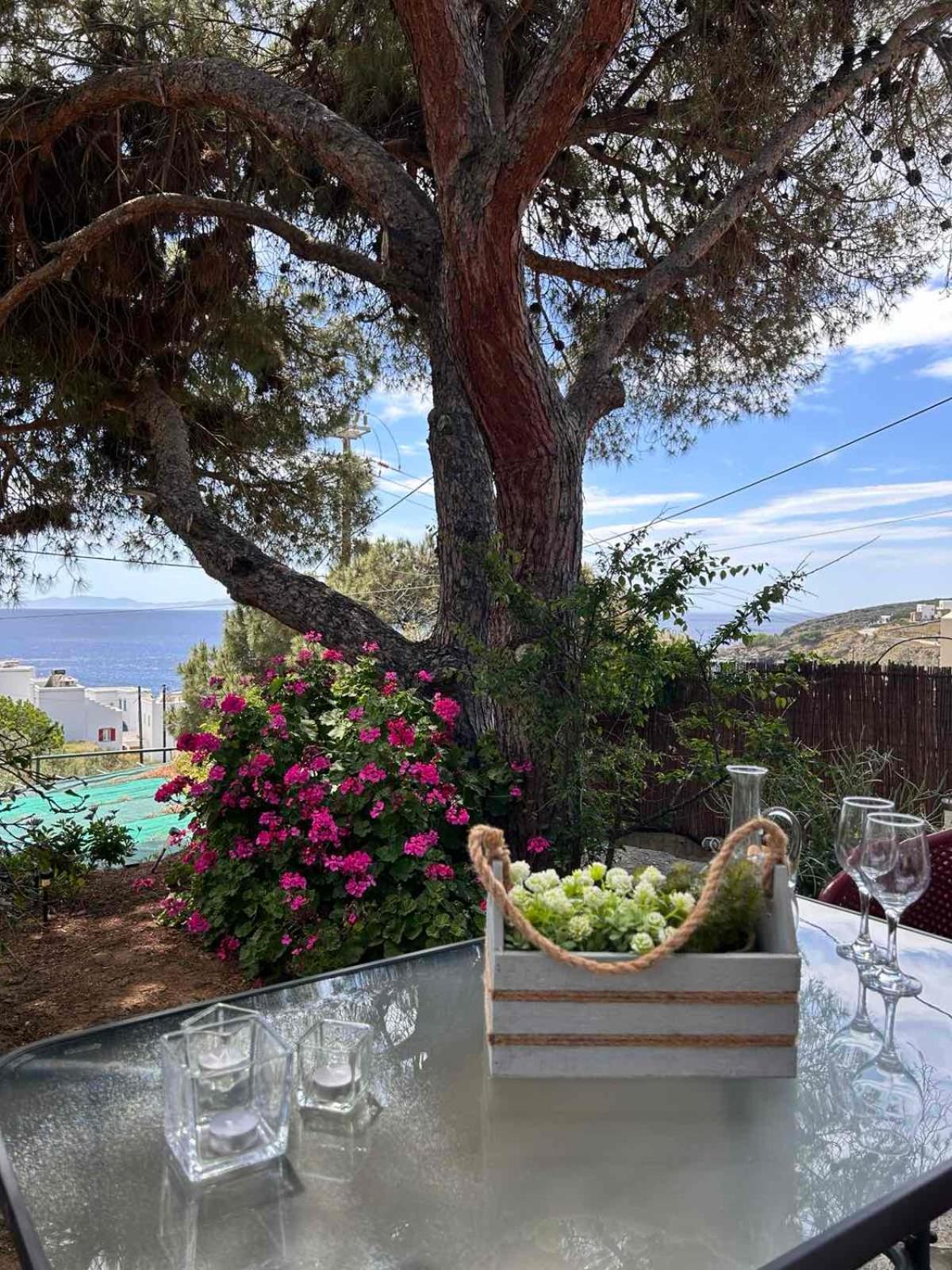 Grandpa Simos' Traditional Guest House Agios Romanos 외부 사진
