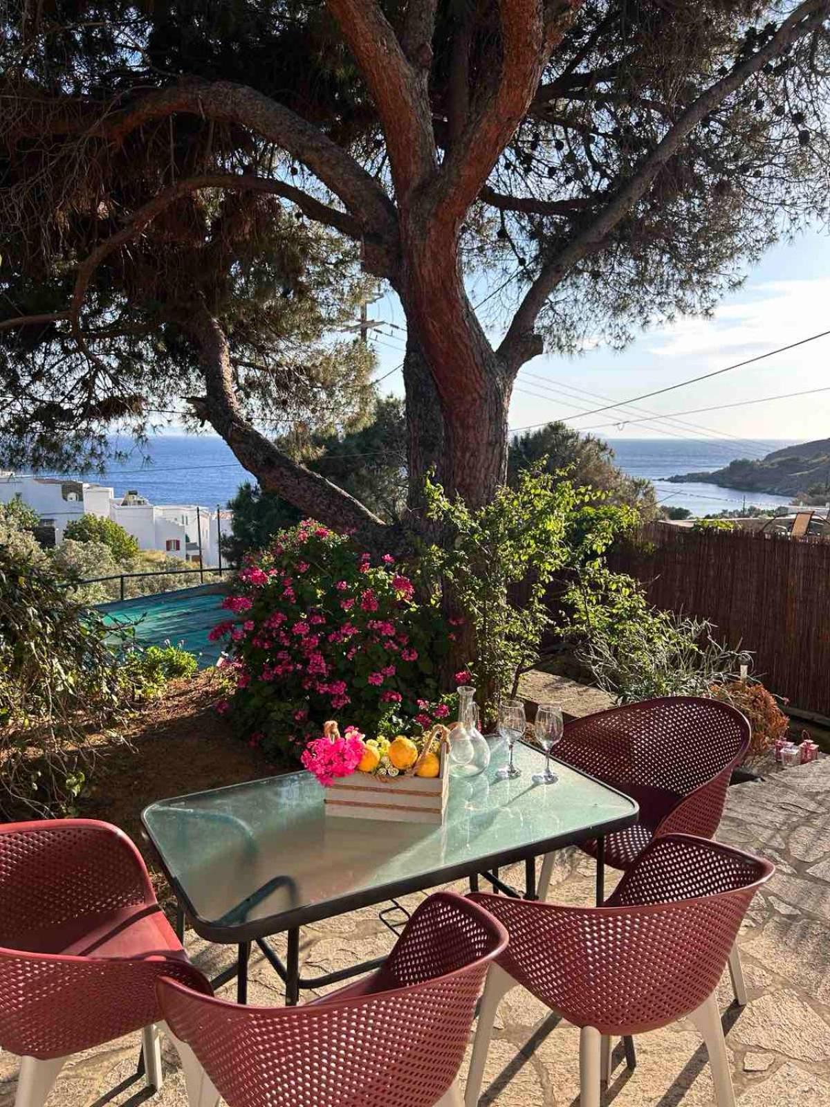 Grandpa Simos' Traditional Guest House Agios Romanos 외부 사진
