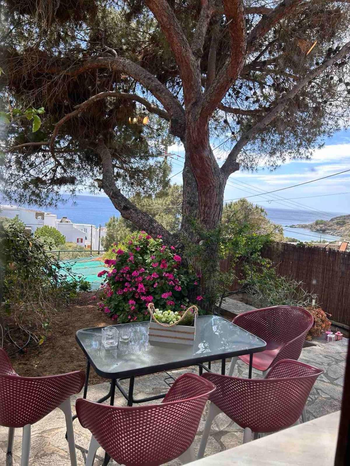 Grandpa Simos' Traditional Guest House Agios Romanos 외부 사진